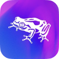 frog design